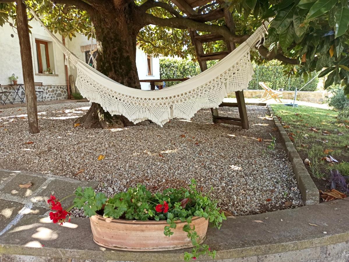 B&B Sole Mio Велетри Екстериор снимка